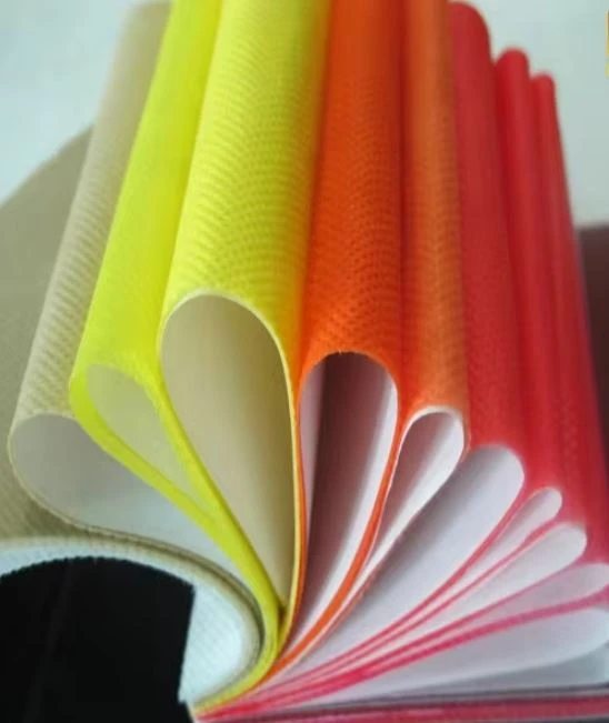 Nonwoven PP Woven Spunched Bonded Fabric For Shoe And Bag Material And AgricultureBag